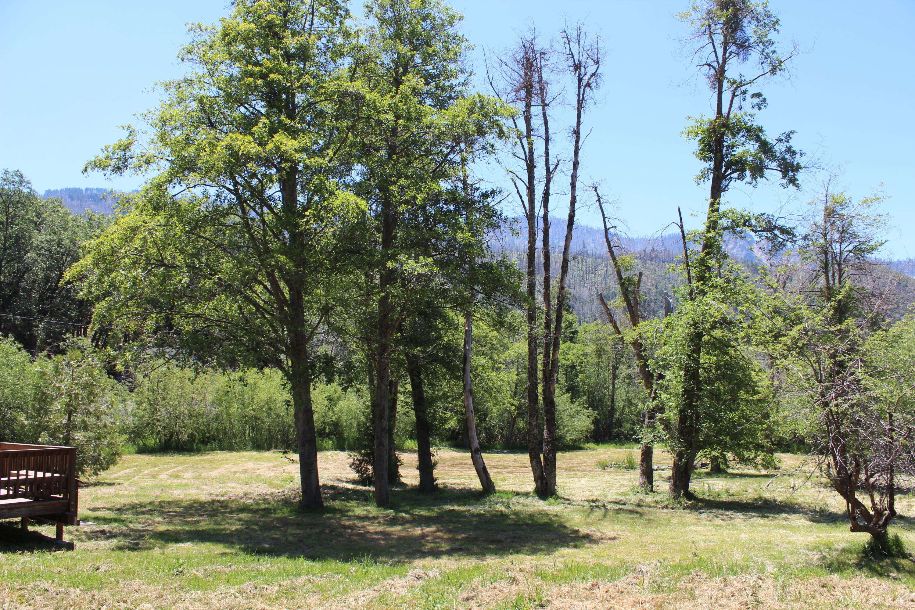 2101 Nelson Drive Springville, CA 93265 - Photo 47 of 59