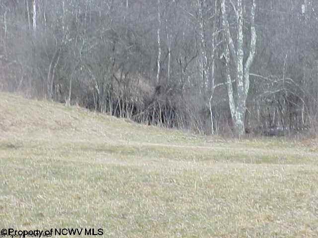 29-30 Ridgeview Estates Jane Lew, WV 26378 - Photo 2 of 2 Gallery Image 2
