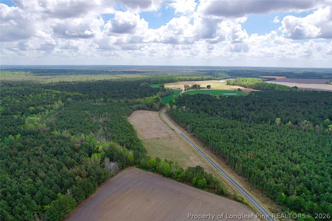 3331 Bogie Island Road Fayetteville, NC 28312 - Photo 2 of 10