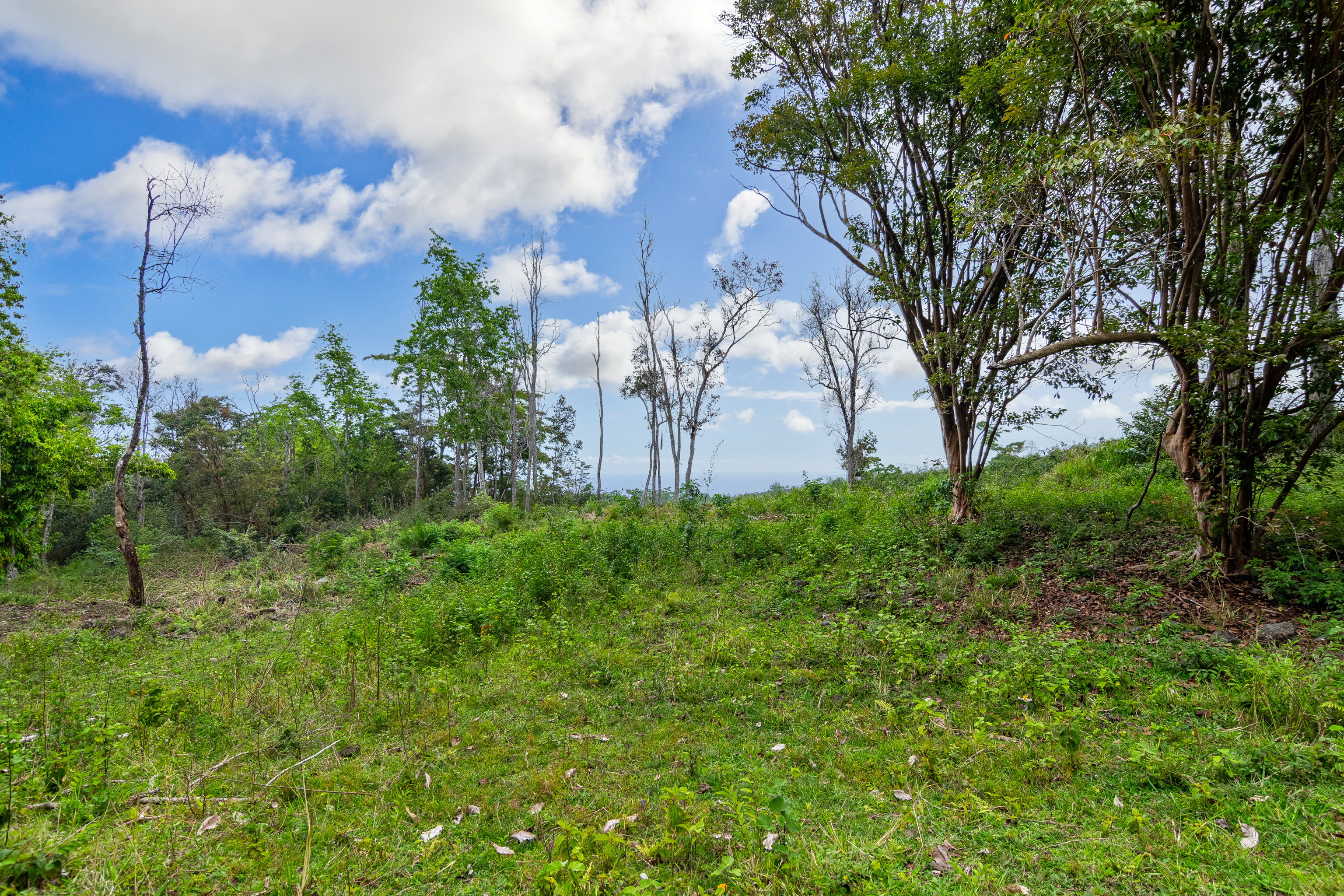 87-1081 Haleili Road Captain Cook, HI 96704 - Photo 17 of 24 a view of a park