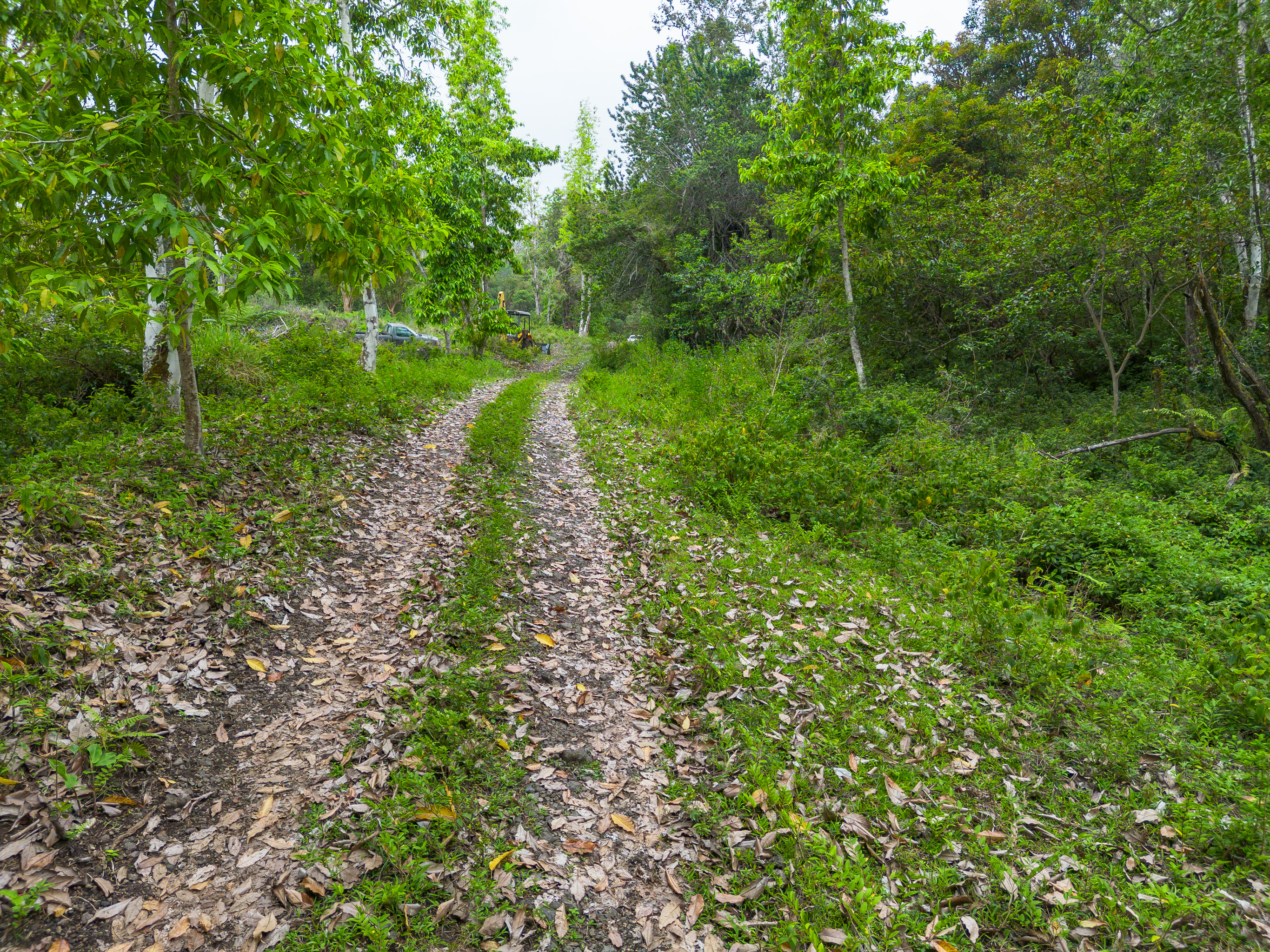 87-1081 Haleili Road Captain Cook, HI 96704 - Photo 18 of 24 a view of a green field with lots of trees
