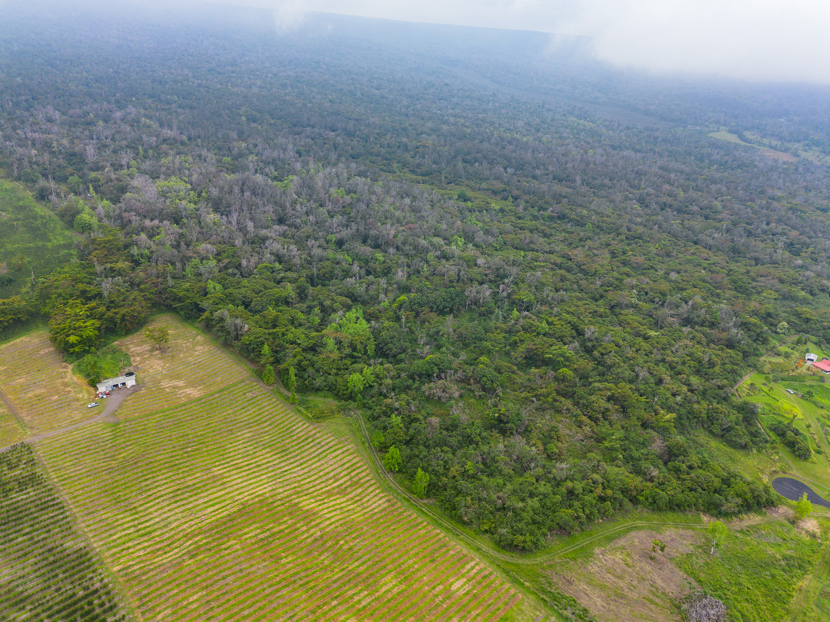 87-1081 Haleili Road Captain Cook, HI 96704 - Photo 20 of 24 a view of a lake view