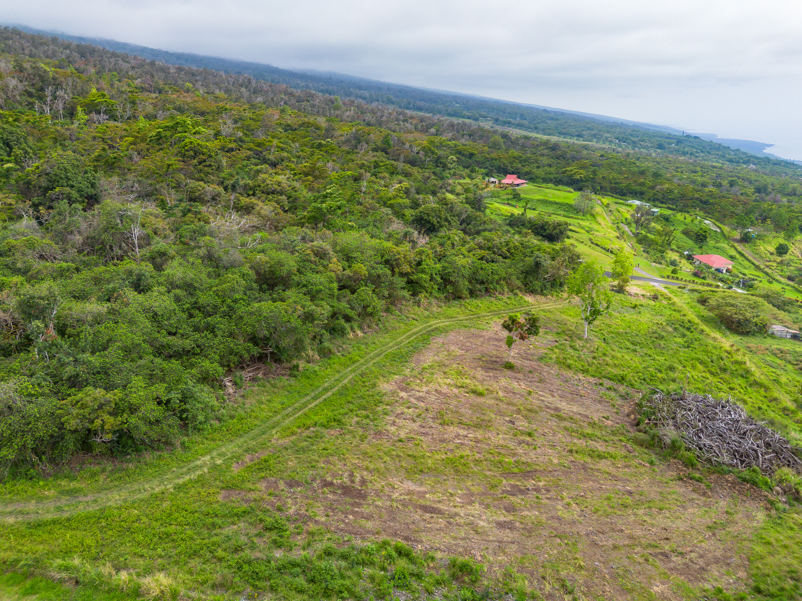 87-1081 Haleili Road Captain Cook, HI 96704 - Photo 22 of 24 a view of a field with an ocean