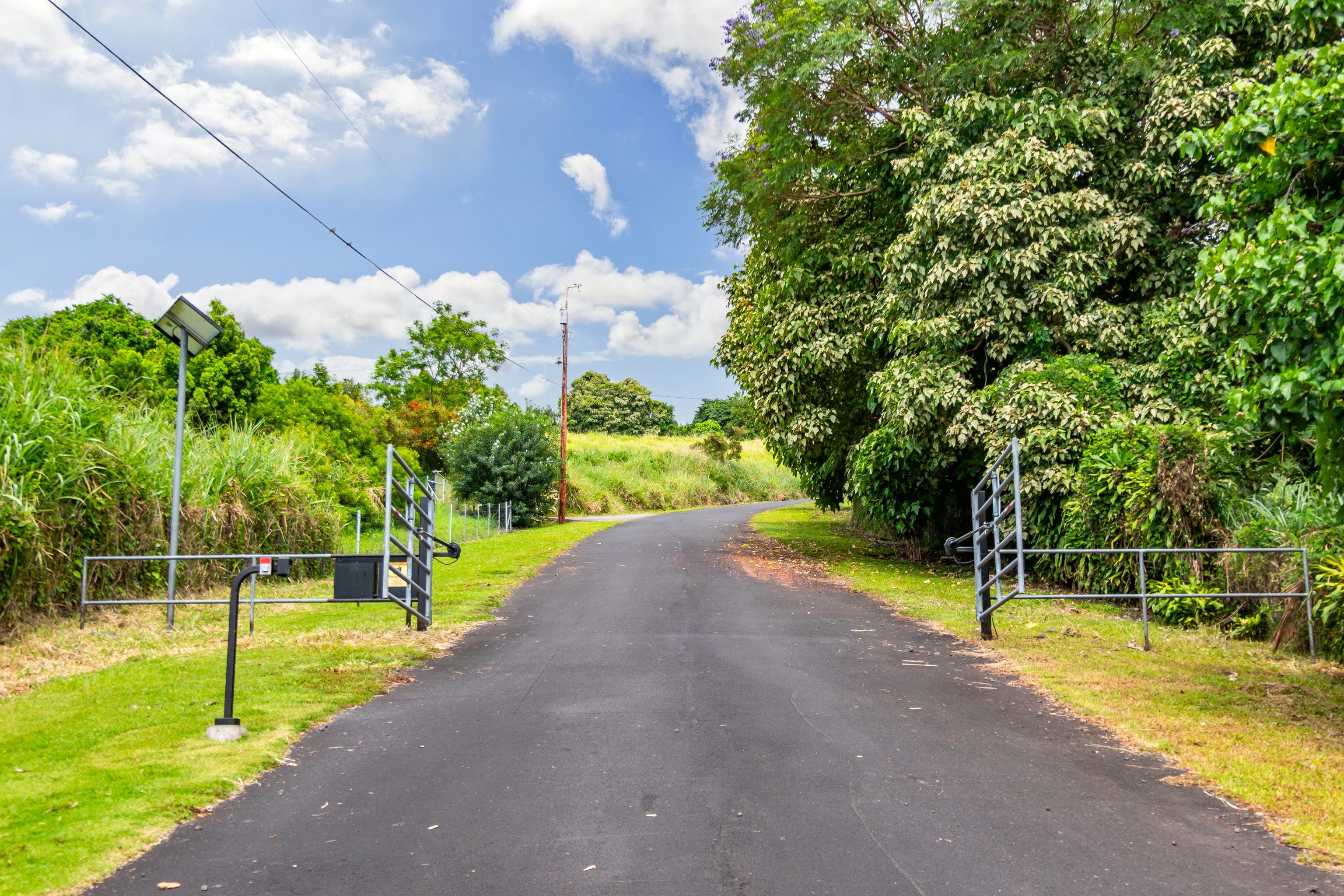 87-1081 Haleili Road Captain Cook, HI 96704 - Photo 23 of 24 a view of a park with large trees