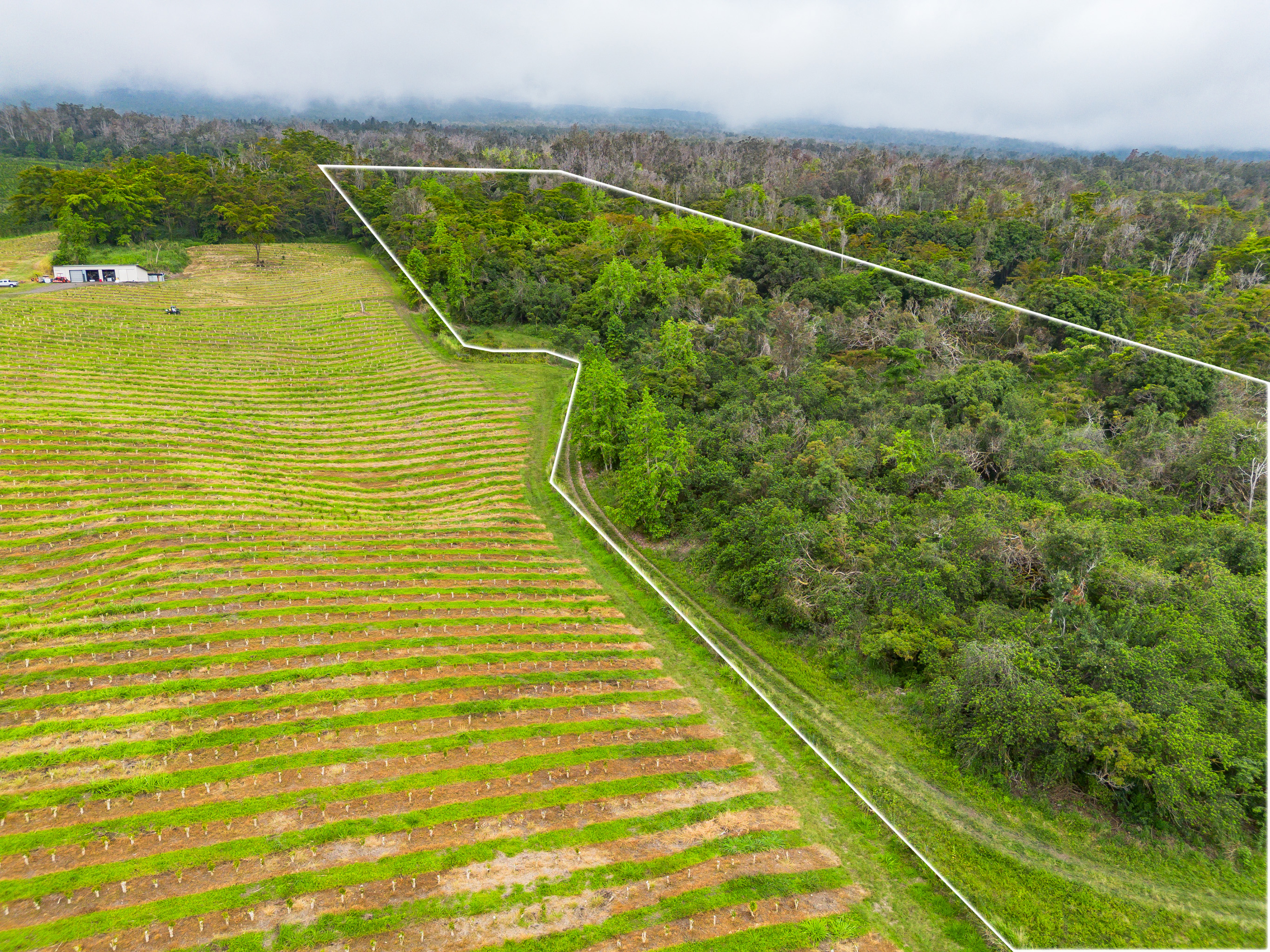 87-1081 Haleili Road Captain Cook, HI 96704 - Photo 4 of 24 a view of a tennis court