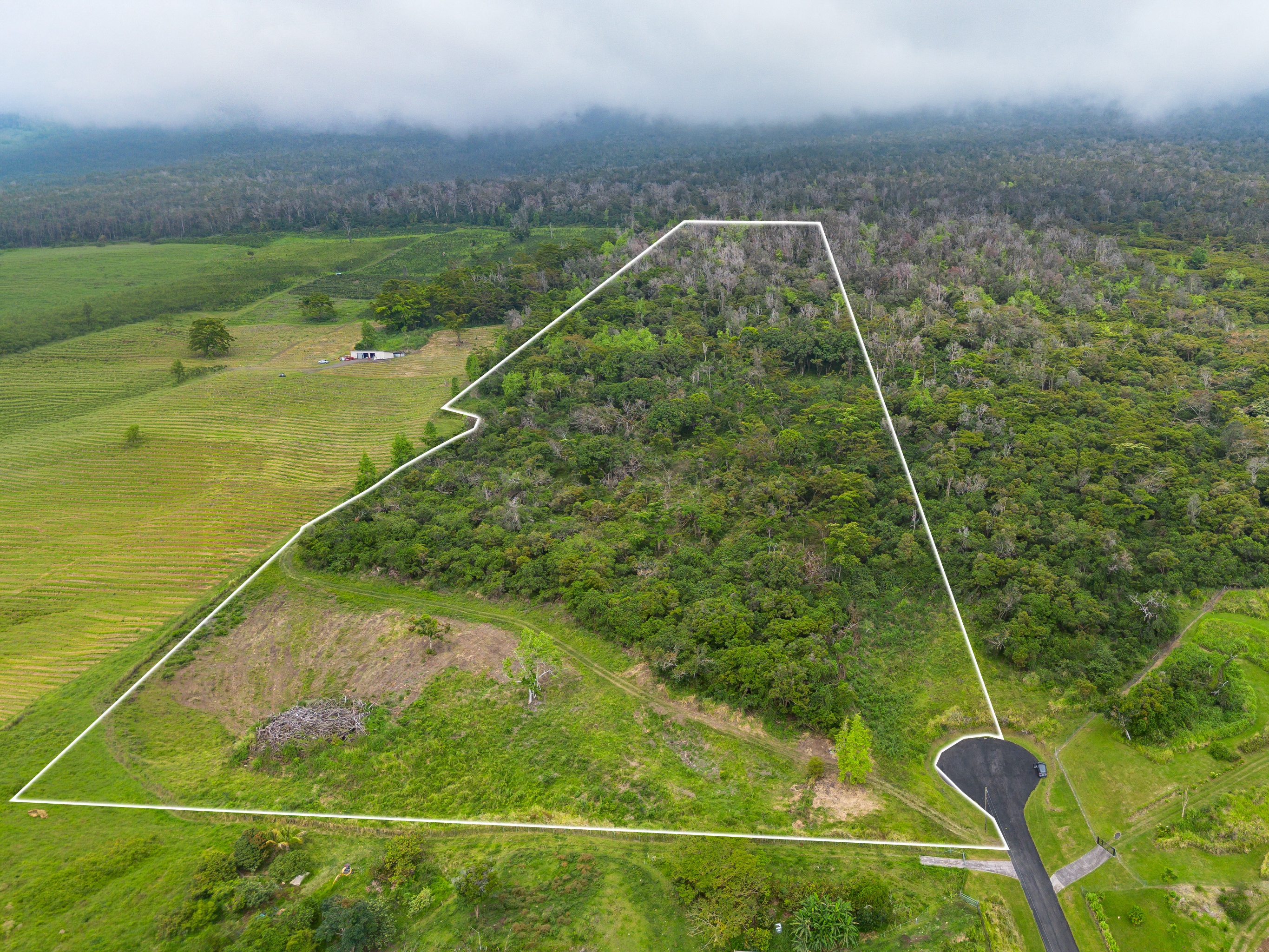 87-1081 Haleili Road Captain Cook, HI 96704 - Photo 5 of 24