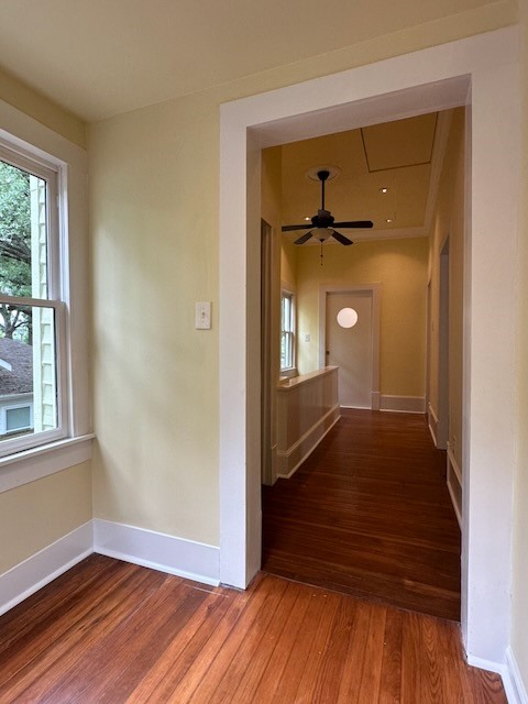 1023 Tulane Street Houston, TX 77008 - Photo 28 of 50