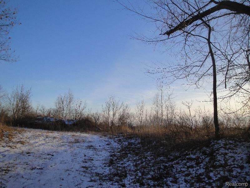 Vac East Leonard Road Leonard, MI 48367 - Photo 10 of 10 E. Leonard - Winter