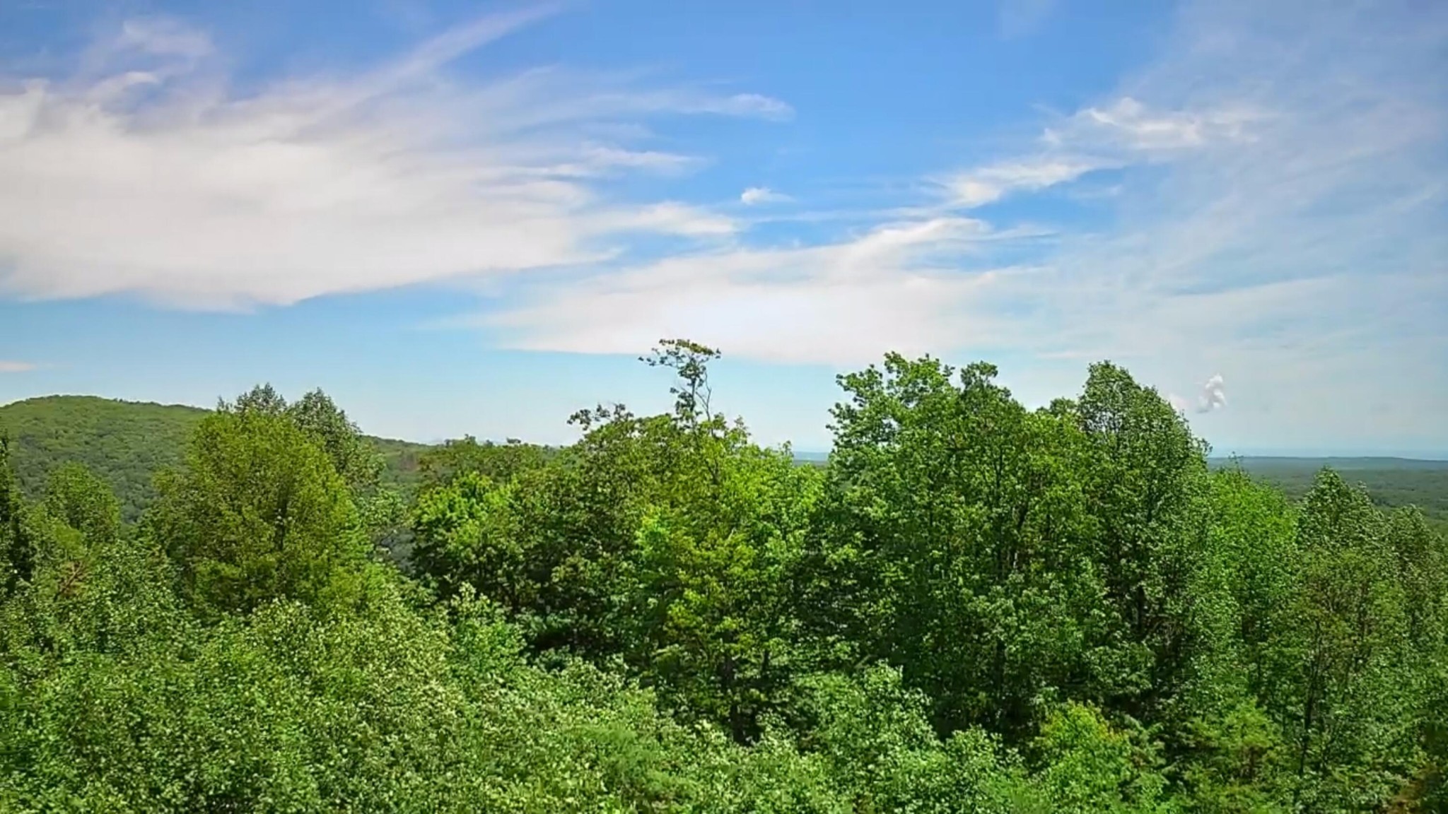 0 Briley Road Spring City, TN 37381 - Photo 1 of 12 Gallery Image 1
