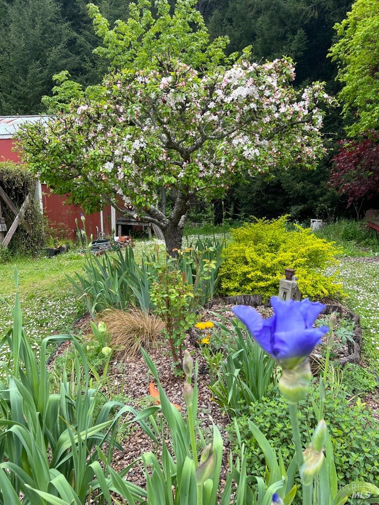 31501 Comptche Ukiah Road Comptche, CA 95427 - Photo 66 of 85
