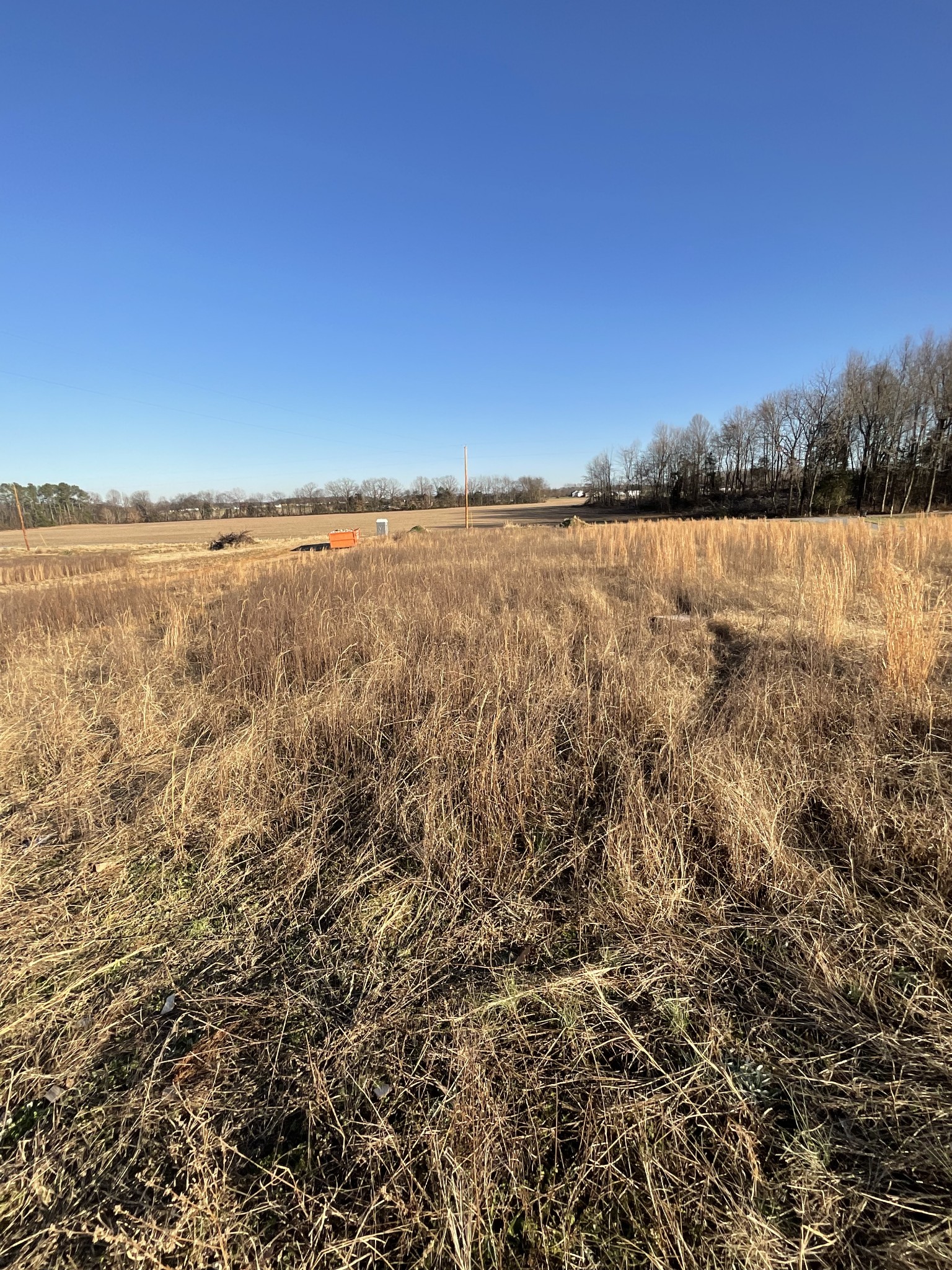 117 Perdue Cemetery Road Portland, TN 37148 - Photo 6 of 18 a view of a lake from a yard