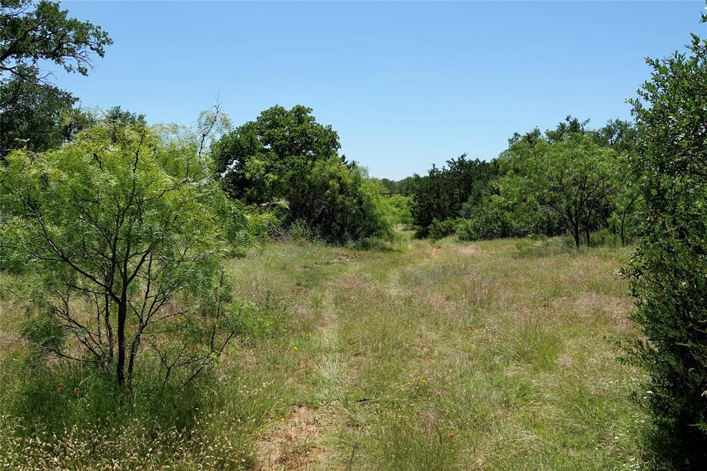 219 C R 550 Mullin, TX 76864 - Photo 6 of 37 a view of a field with plants and trees in the background