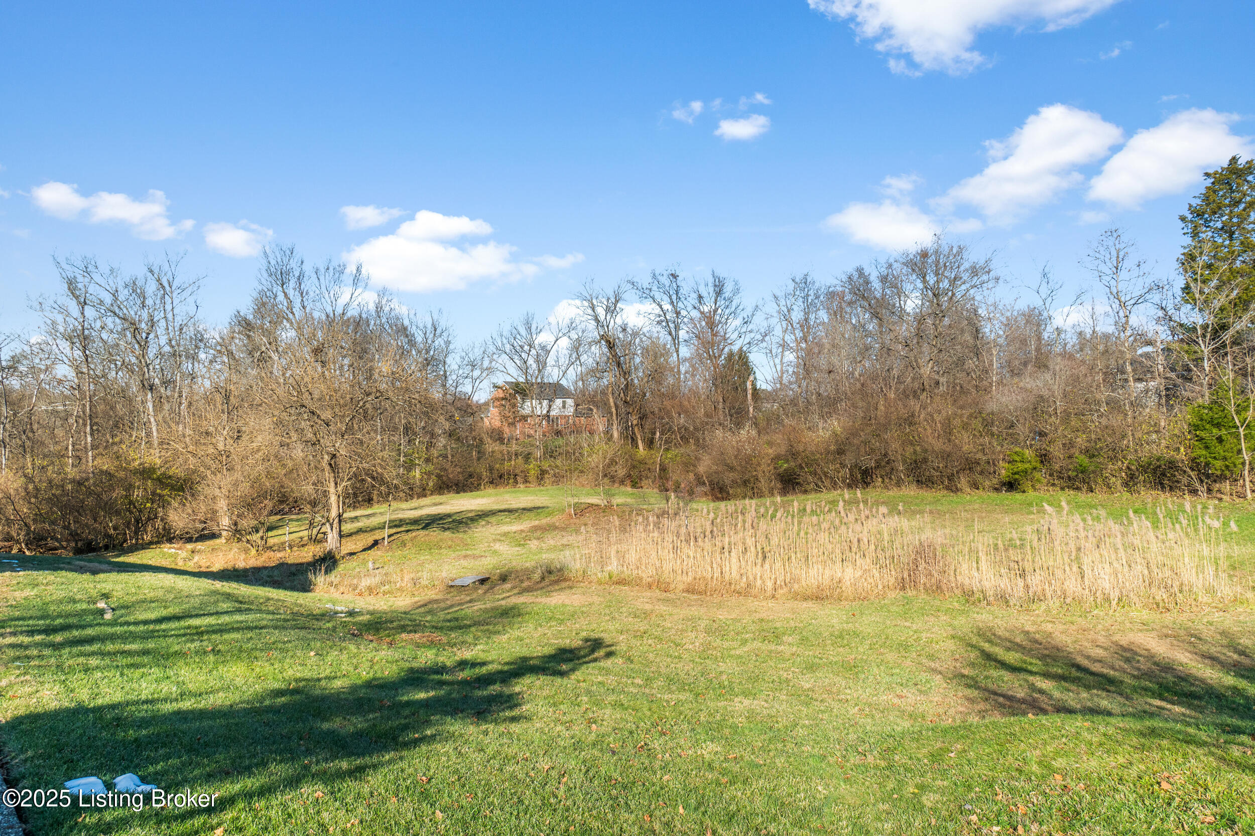 7000 Colton Road Crestwood, KY 40014 - Photo 55 of 62 dsc04417