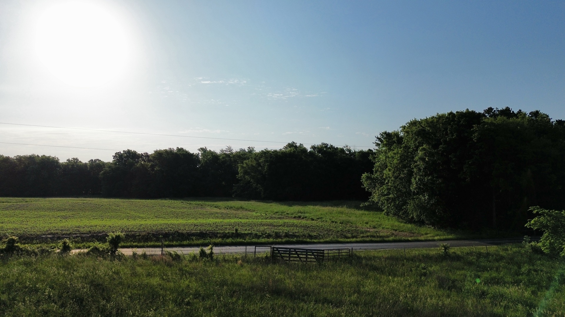 0 County Highway 29 Road Rinard, IL 62878 - Photo 20 of 28