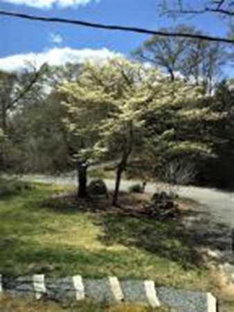 138 Tubman Road Brewster, MA 02631 - Photo 4 of 24 Gallery Image 4