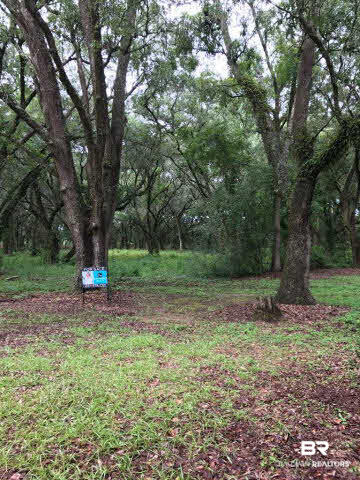 0 Sherman Road Foley, AL 36535 - Photo 5 of 8
