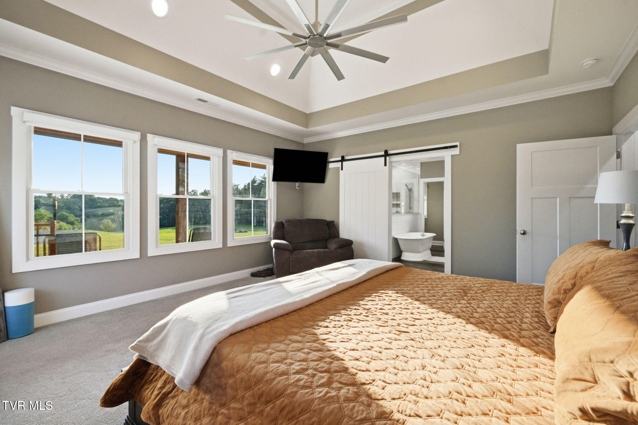 141 Kitzmiller Road Gray, TN 37615 - Photo 45 of 100 41-web-or-mls-037_DSC09521_with_tv