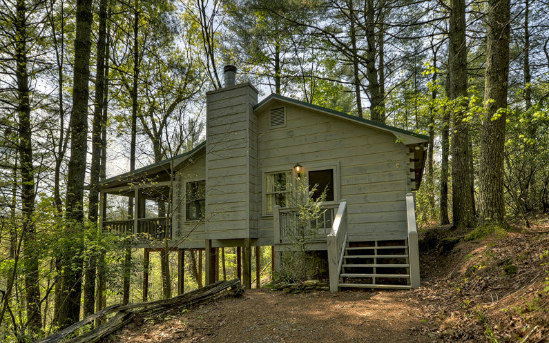 Main View