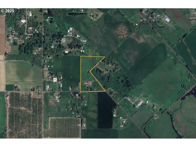 a view of a house with a tree