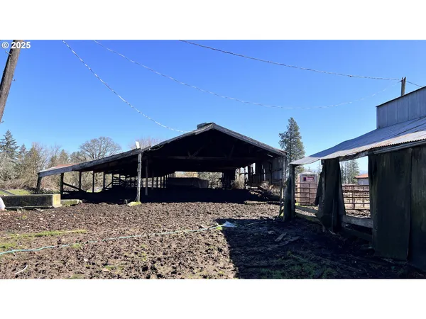 a black and white photo of a backyard
