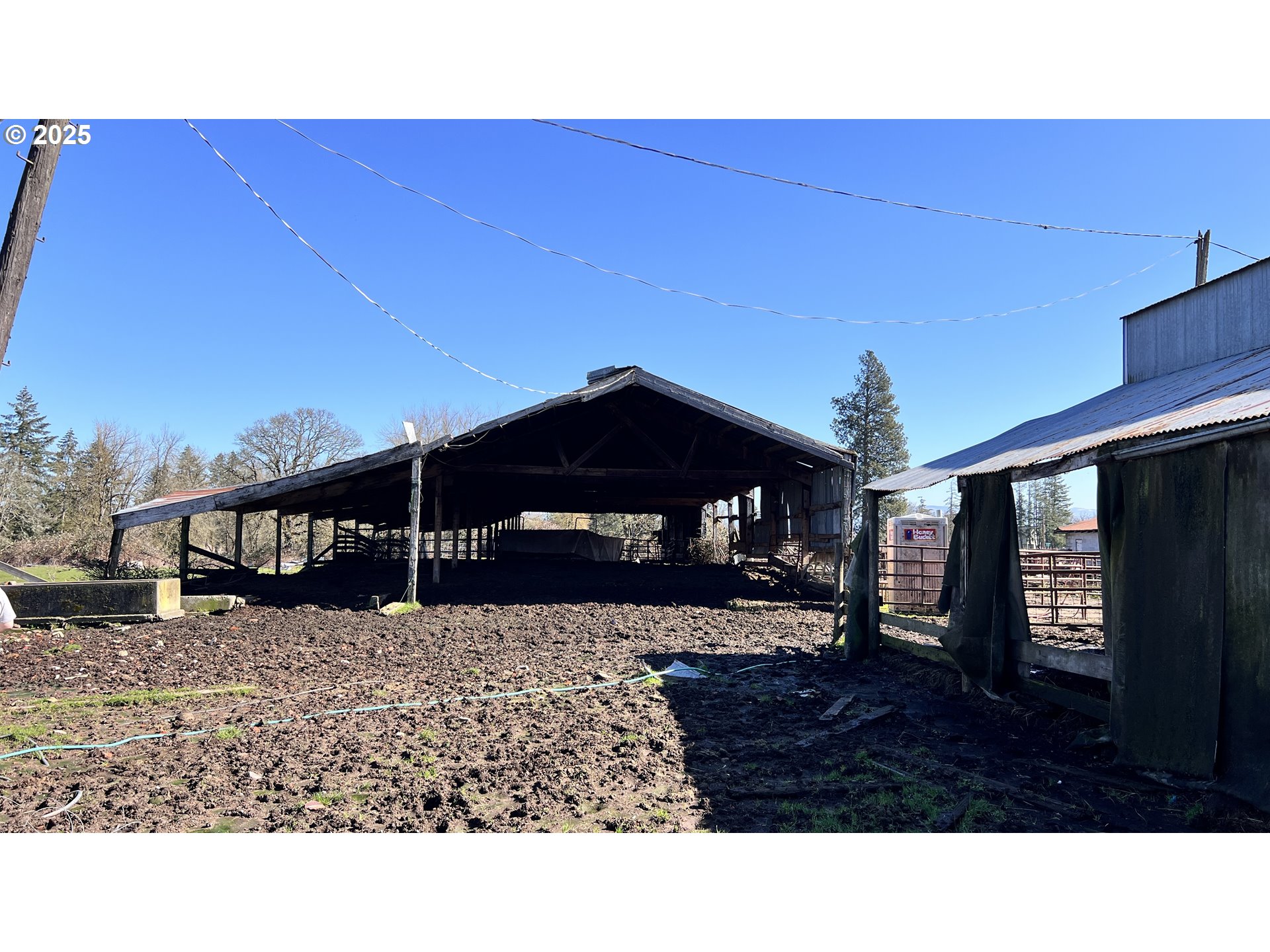 12051 South Riggs Damm Road Canby, OR 97013 - Photo 5 of 27 a black and white photo of a backyard