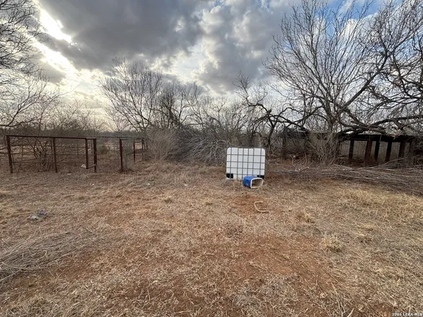 a view of backyard with trees