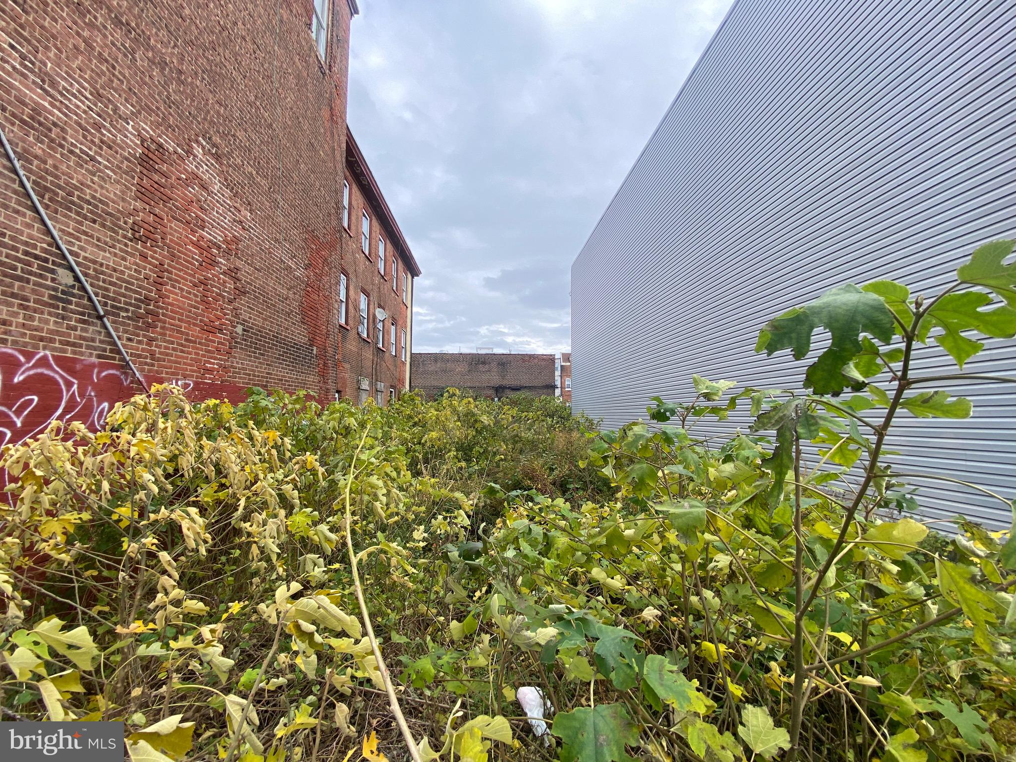413 North 41st Street, Unit A Philadelphia, PA 19104 - Photo 3 of 4 a view of a garden