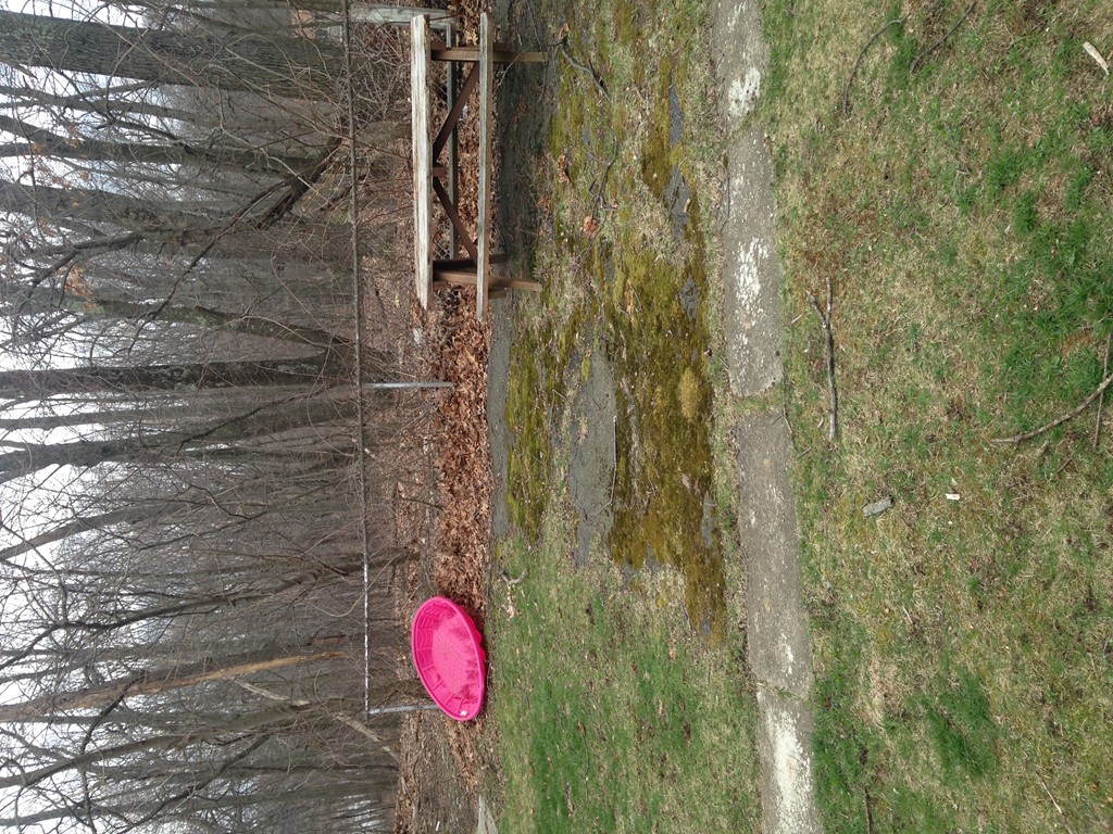 14 Ridgeland Road Shrewsbury, MA 01545 - Photo 5 of 29 Gallery Image 5