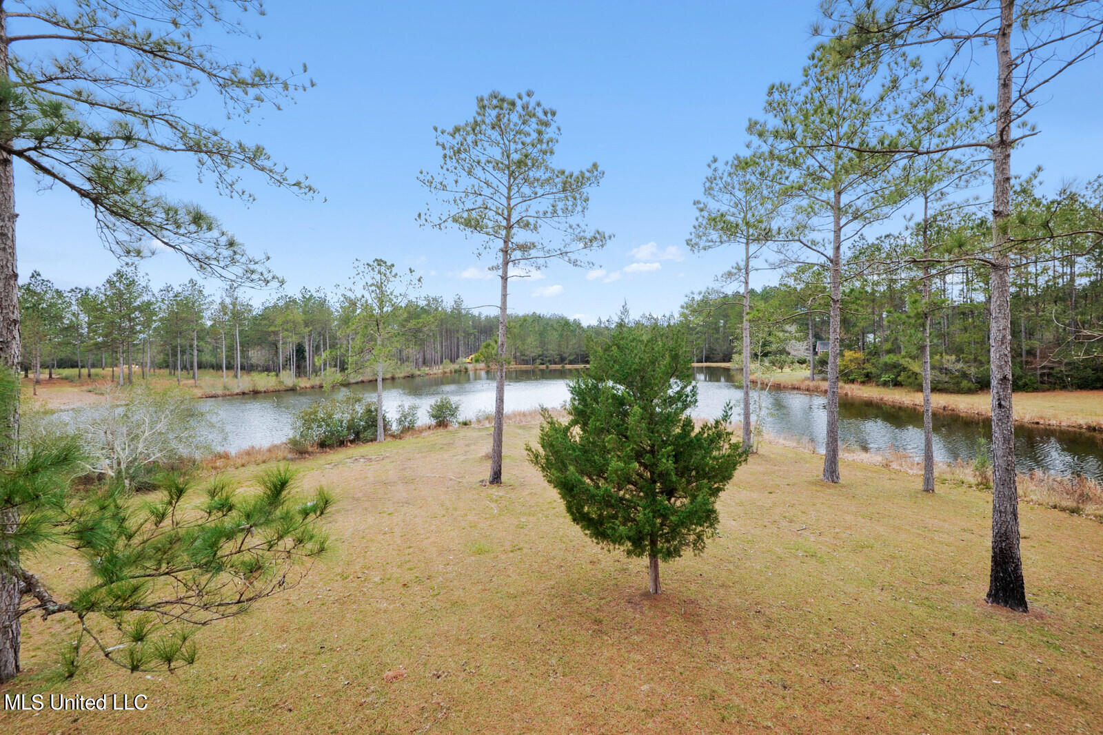 678 Beaver Dam Road Perkinston, MS 39573 - Photo 8 of 24 025_1600x1067_mls (23)