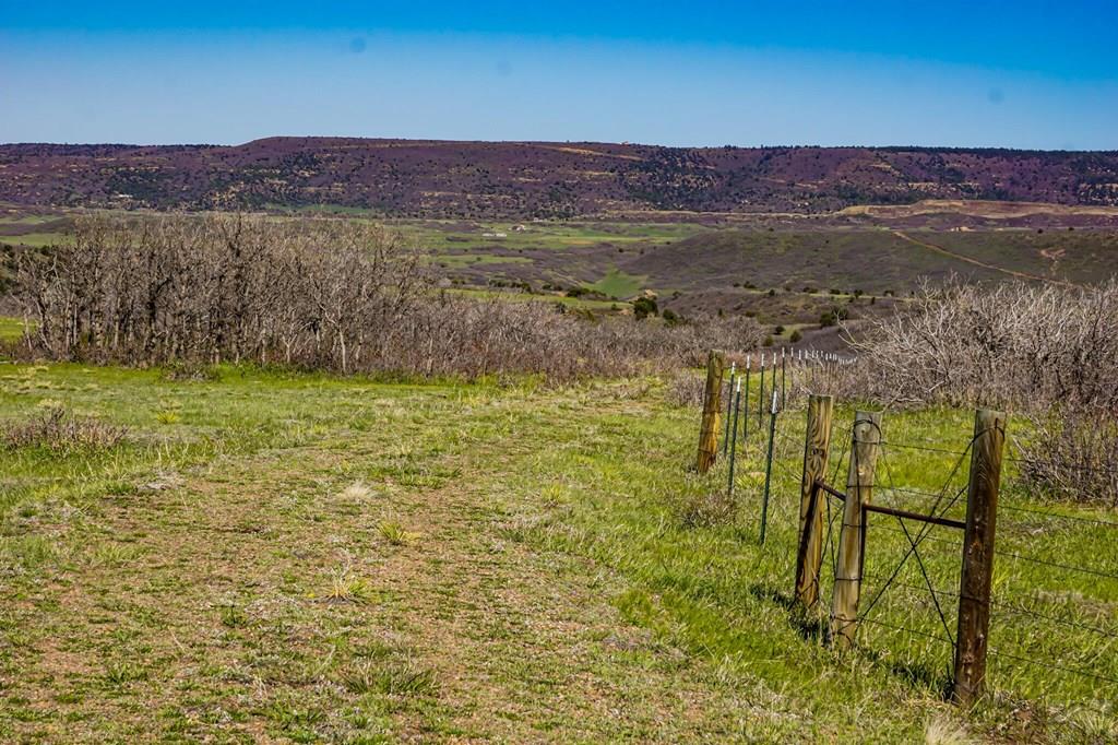Tbd Tbd Rilling Canyon Road La Veta, CO 81055 - Photo 19 of 33