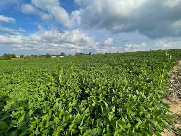 $68,800 | Lot 8 Sunset Trace, Tomah, WI 54660