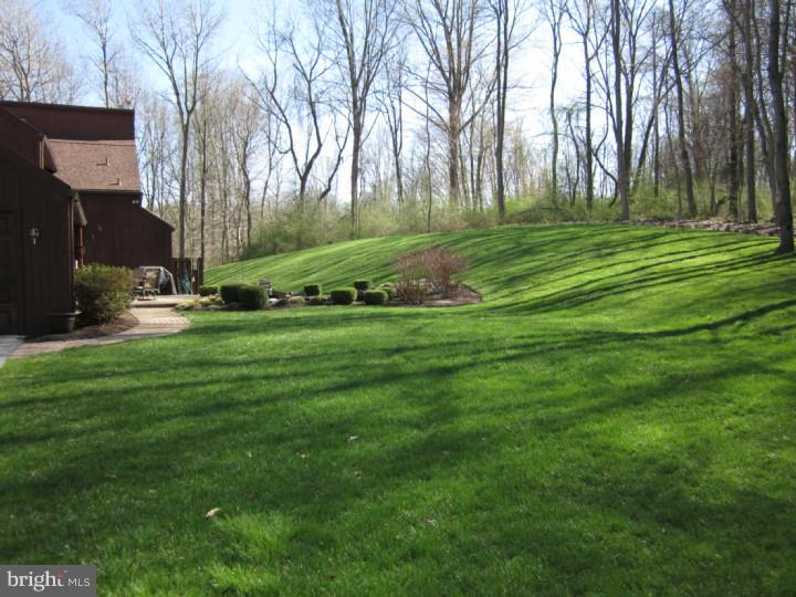 552 Chandler Mill Road Avondale, PA 19311 - Photo 4 of 25 Back Yard