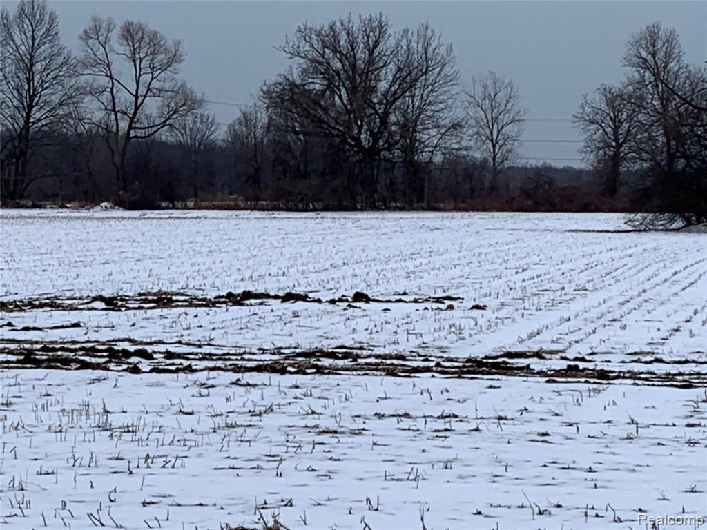 17198 34 Mile Road Armada, MI 48005 - Photo 2 of 5 Gallery Image 2