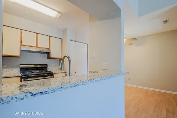 $249,896 | 46 North Park Avenue, Unit 7, Lombard, IL 60148