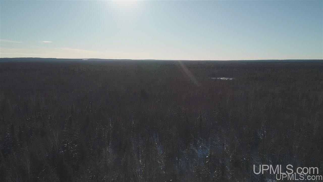 80-acres Co Rd N415 McMillan, MI 49853 - Photo 15 of 36
