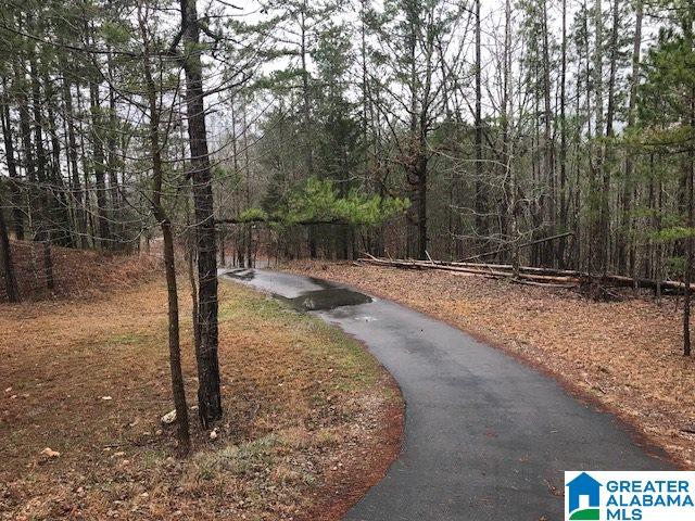 57 Peace Road Piedmont, AL 36272 - Photo 16 of 22