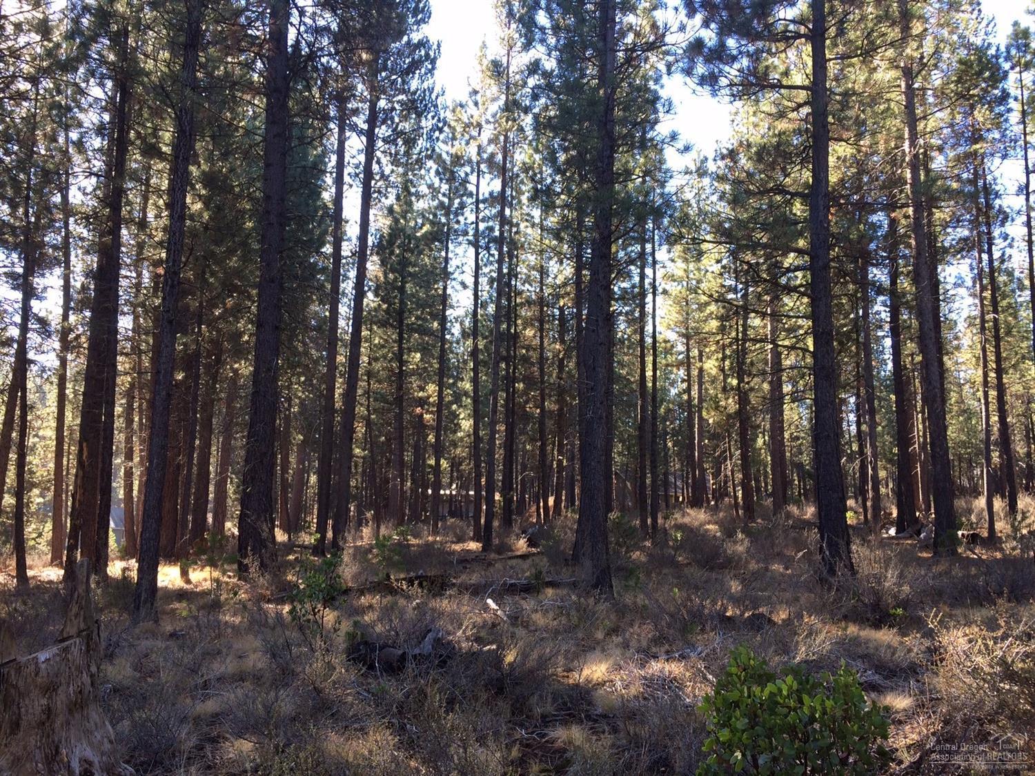 16857 Indio Road Bend, OR 97707 - Photo 3 of 4 Gallery Image 3