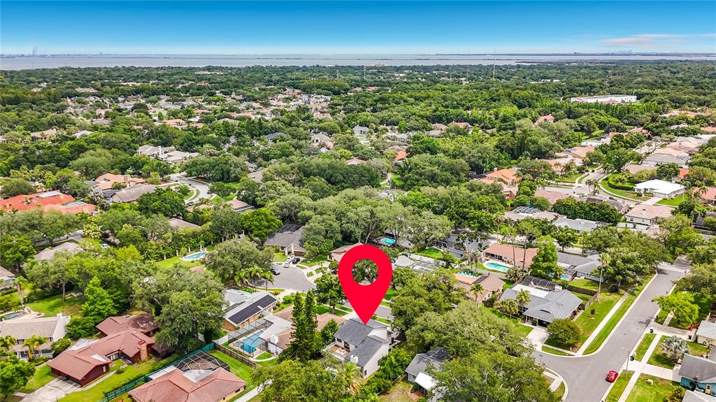 3 Octavia Way Safety Harbor, FL 34695 - Photo 61 of 65