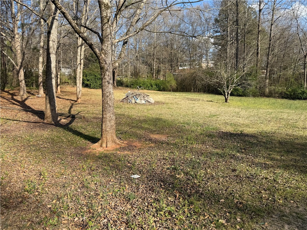 100 Davis Hill Road West Union, SC 29696 - Photo 2 of 5