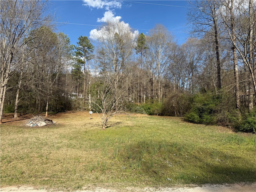 100 Davis Hill Road West Union, SC 29696 - Photo 3 of 5