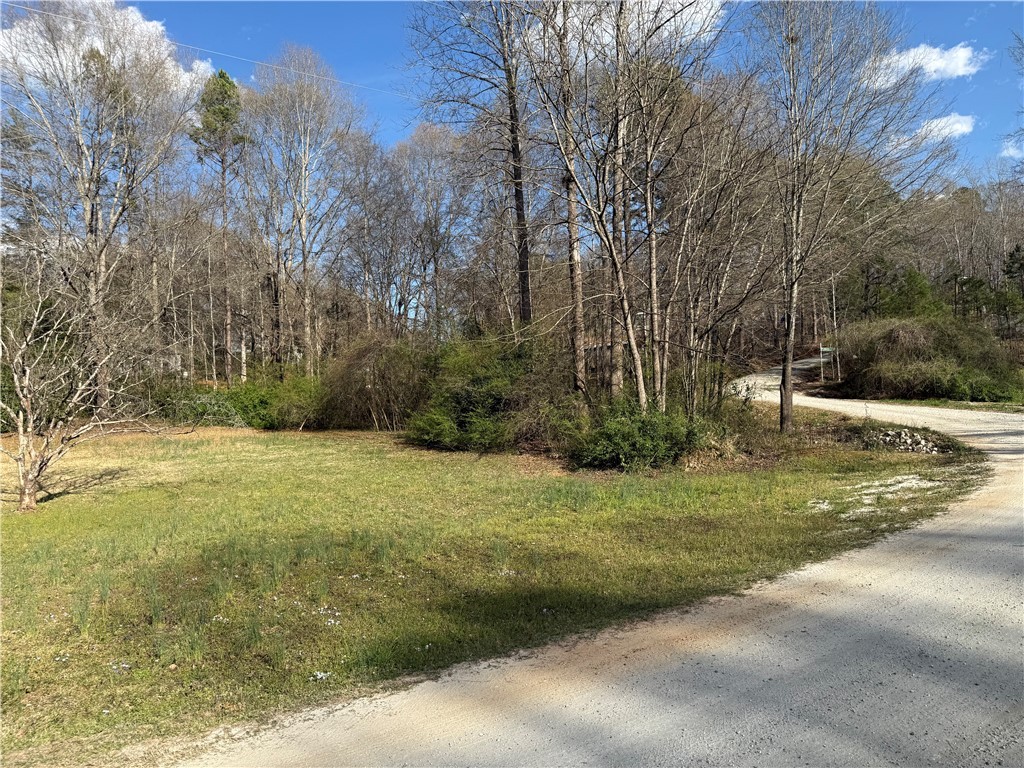 100 Davis Hill Road West Union, SC 29696 - Photo 4 of 5