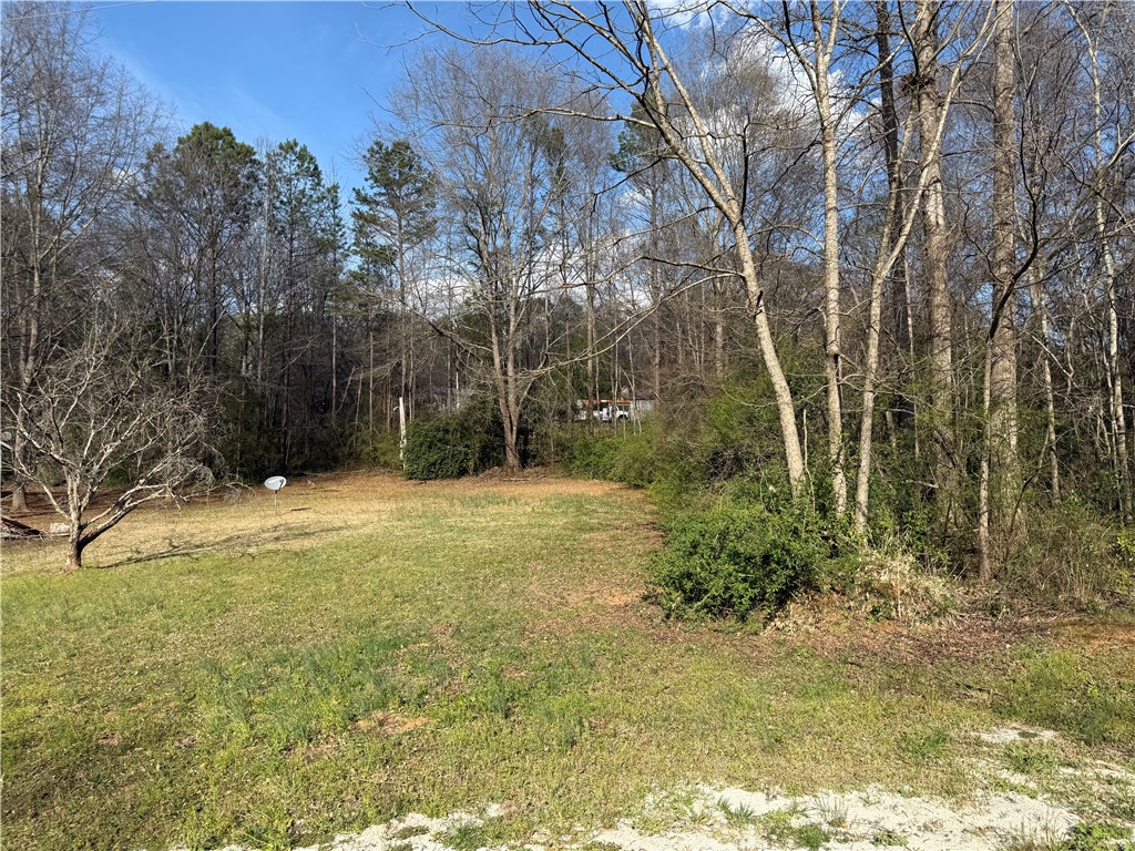 100 Davis Hill Road West Union, SC 29696 - Photo 5 of 5