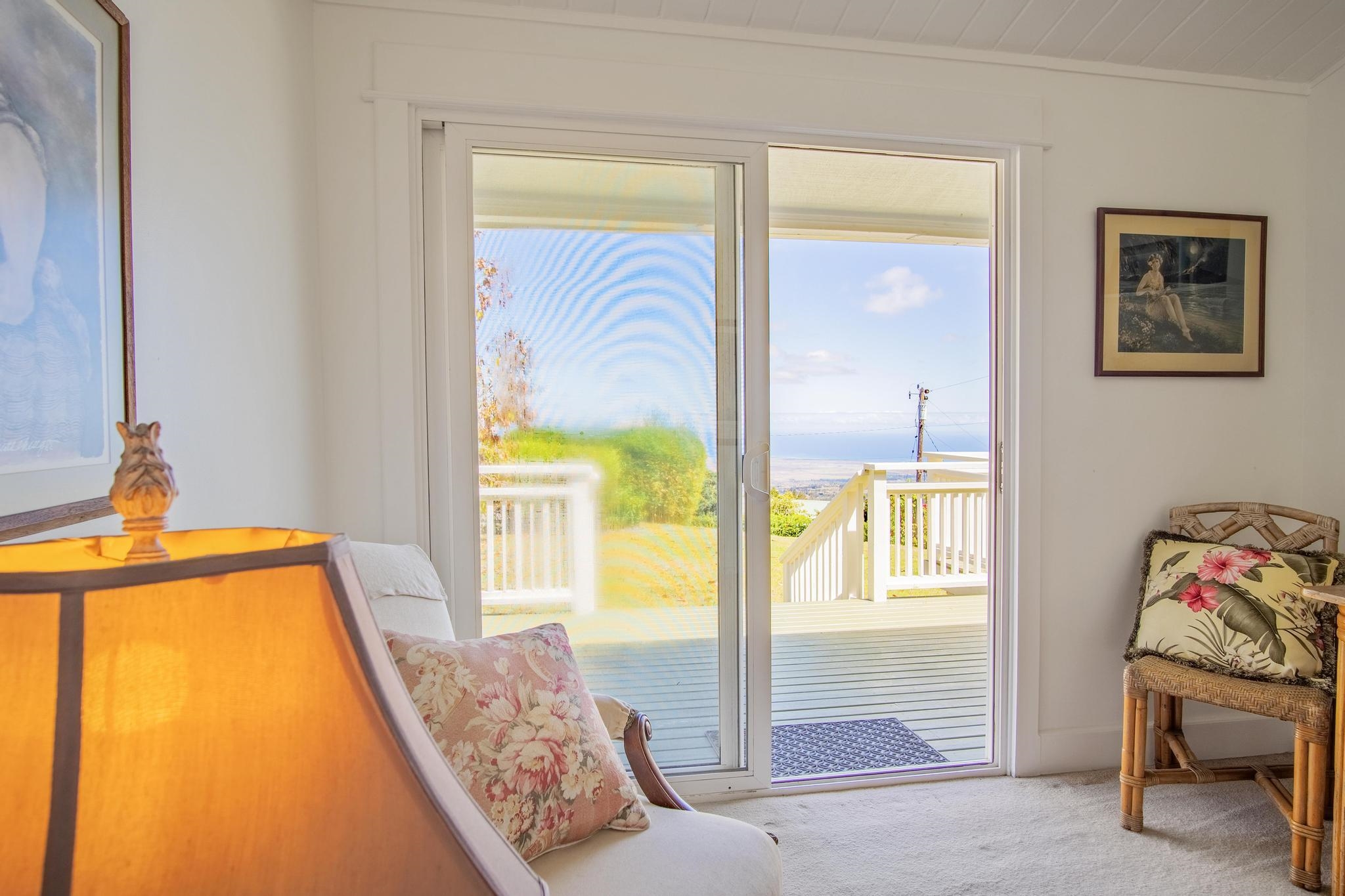 107 Johnson Road Kula, HI 96790 - Photo 28 of 48 Gallery Image 28