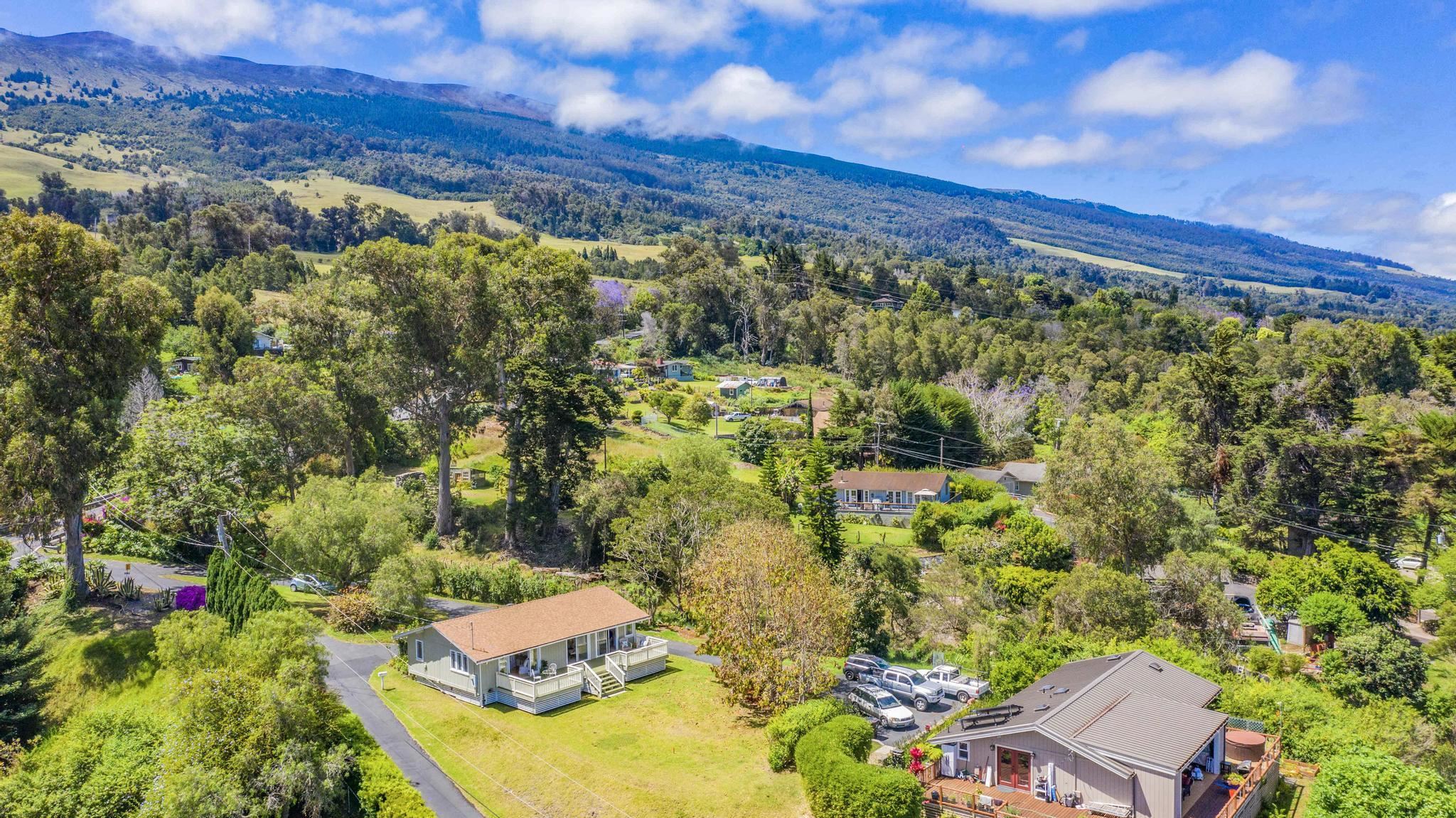 107 Johnson Road Kula, HI 96790 - Photo 44 of 48 Gallery Image 44