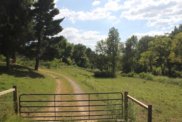 6028 Sycamore Road Cannelton, IN 47520 - Photo 1 of 19