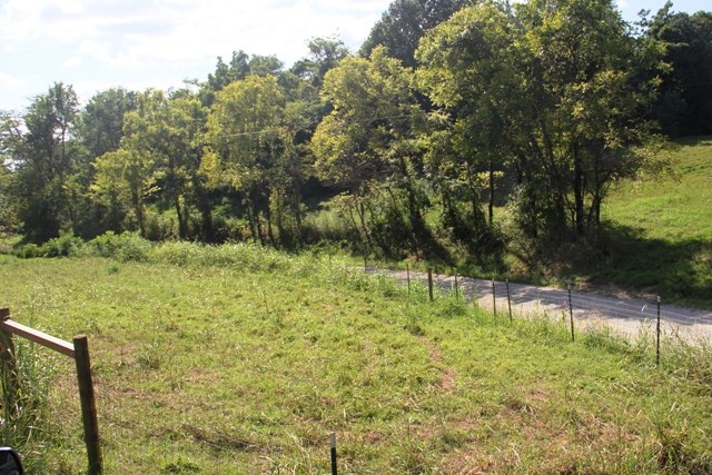 6028 Sycamore Road Cannelton, IN 47520 - Photo 13 of 19