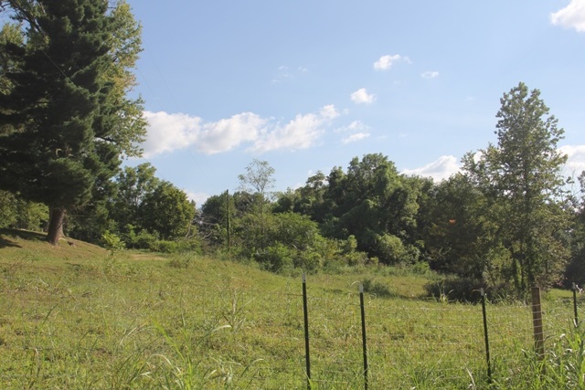 6028 Sycamore Road Cannelton, IN 47520 - Photo 14 of 19