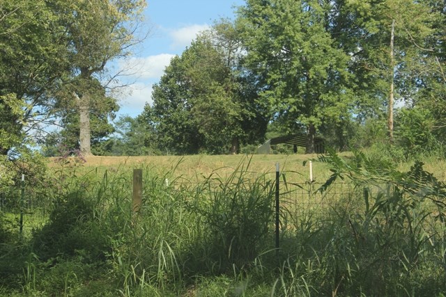 6028 Sycamore Road Cannelton, IN 47520 - Photo 15 of 19