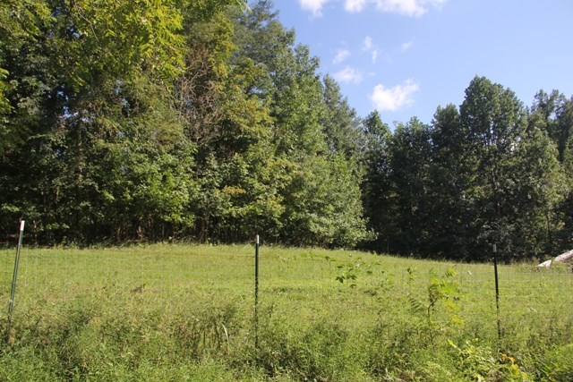 6028 Sycamore Road Cannelton, IN 47520 - Photo 16 of 19