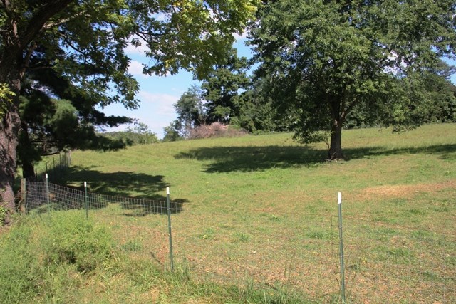 6028 Sycamore Road Cannelton, IN 47520 - Photo 3 of 19